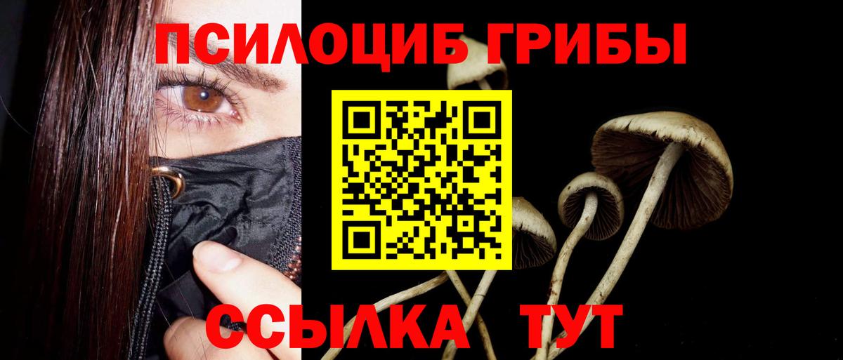 Псилоцибиновые грибы мицелий  Псилоцибиновые грибы Magic Shrooms  Гагарин  Вход с VPN 