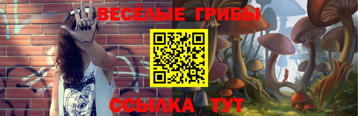 Галлюциногенные грибы Psilocybe Гагарин